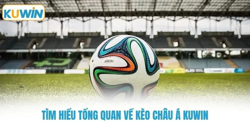 tim hieu tong quan ve keo chau a kuwin Tìm hiểu tổng quan về kèo châu á KUWIN