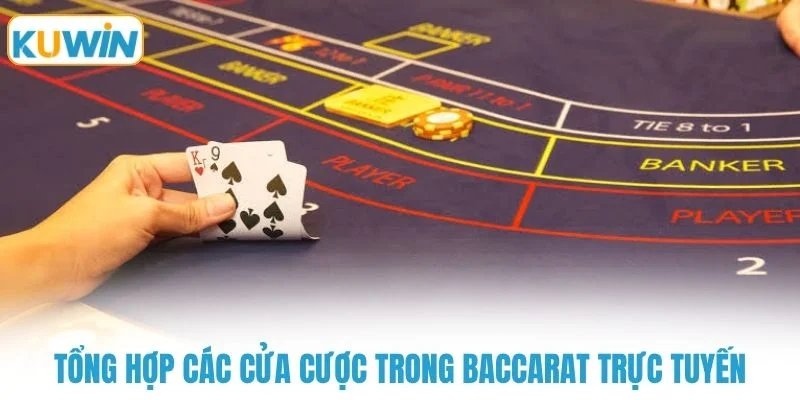 tong hop cac cua cuoc trong baccarat truc tuyen Tổng hợp các cửa cược trong baccarat trực tuyến